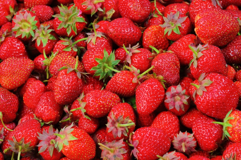 primeur-BORMES LES MIMOSAS-min_strawberries-528791